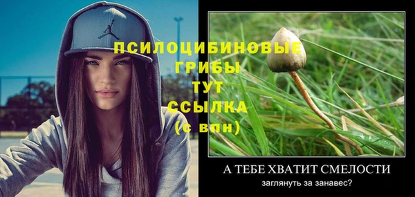 ешки Баксан